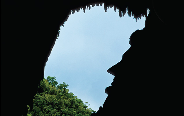 Mulu Show Caves