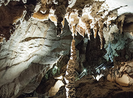 Clearwater Cave & Wind Cave