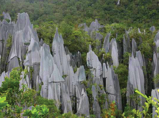 The Pinnacles