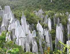 3D2N Mulu Pinnacles