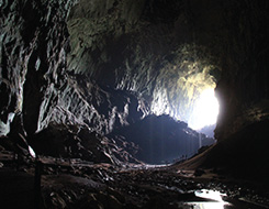 3D2N Mulu Show Caves