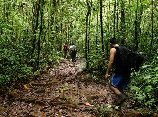 3D2N Mulu Headhunter Trails