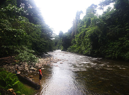 3D2N Mulu Headhunter Trails