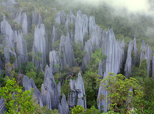 3D2N Mulu Pinnacles