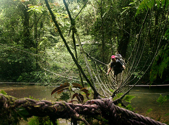 4D3N Mulu Show Caves + Headhunter Trails