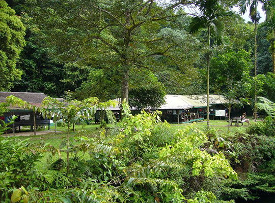 4D3N Mulu Show Caves + Headhunter Trails