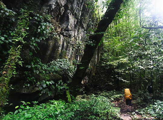 4D3N Mulu Show Caves + Pinnacles
