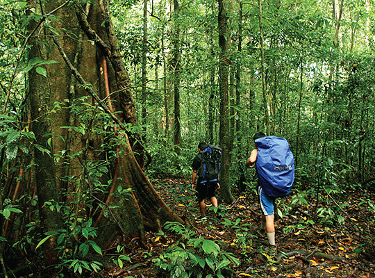 5D4N Mulu Show Caves + Pinnacles + Headhunter Trails